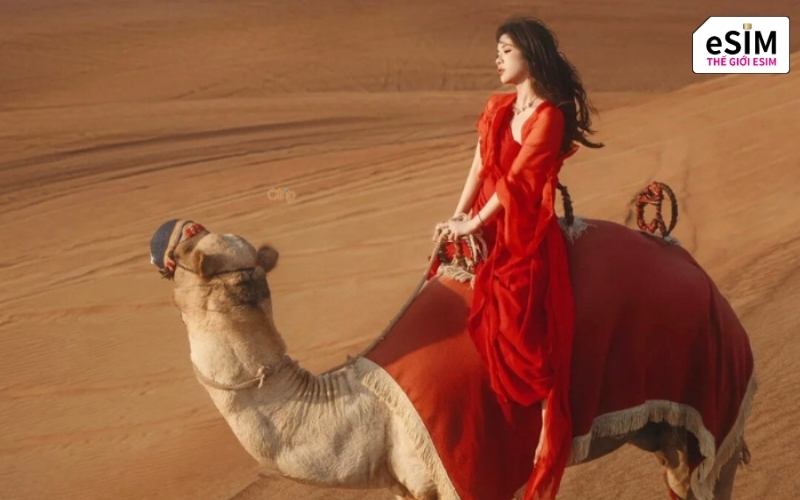 Khám phá sa mạc Dubai bằng lạc đà, ngắm hoàng hôn rực rỡ và khung cảnh đầy mê hoặc